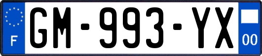 GM-993-YX