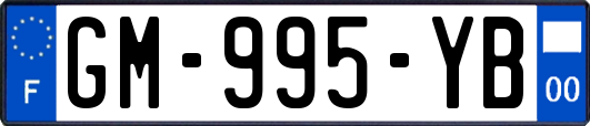 GM-995-YB