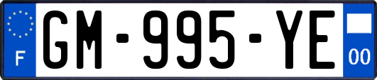 GM-995-YE