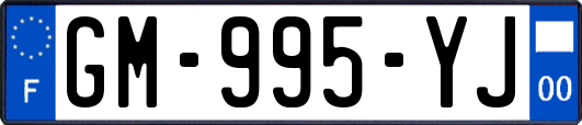 GM-995-YJ