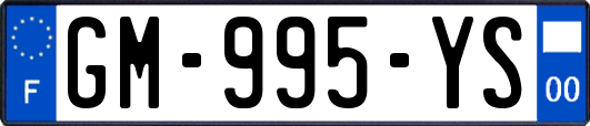 GM-995-YS
