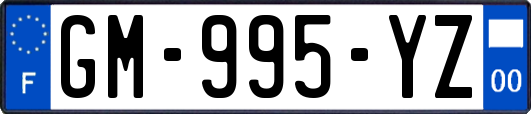 GM-995-YZ