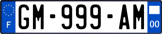 GM-999-AM