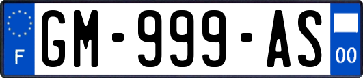 GM-999-AS