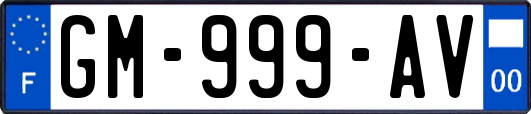 GM-999-AV