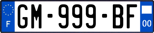 GM-999-BF