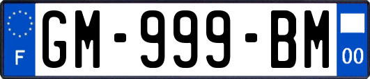 GM-999-BM