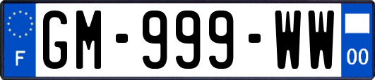 GM-999-WW