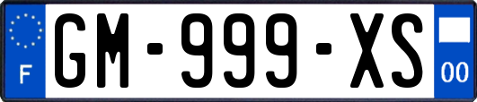 GM-999-XS