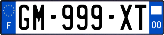 GM-999-XT