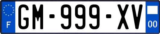 GM-999-XV