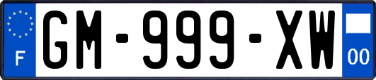 GM-999-XW