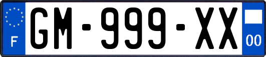 GM-999-XX