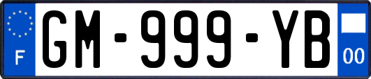GM-999-YB