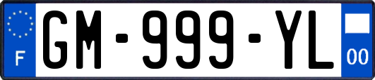 GM-999-YL