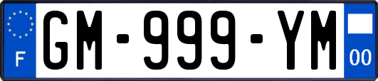 GM-999-YM