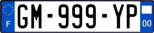GM-999-YP
