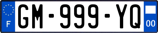 GM-999-YQ