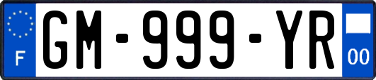 GM-999-YR