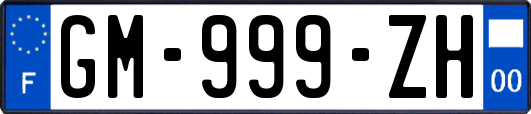 GM-999-ZH