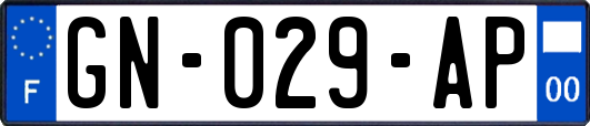 GN-029-AP