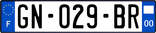GN-029-BR