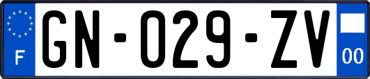 GN-029-ZV