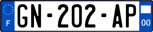 GN-202-AP