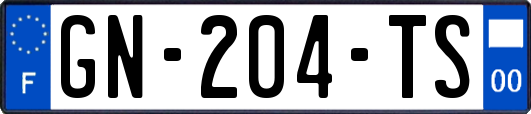 GN-204-TS