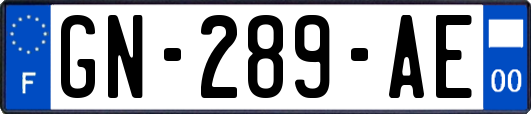 GN-289-AE