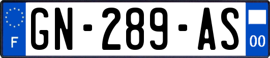 GN-289-AS