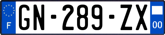 GN-289-ZX