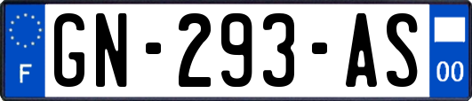 GN-293-AS