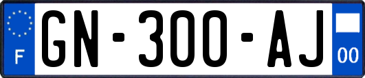 GN-300-AJ