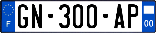 GN-300-AP