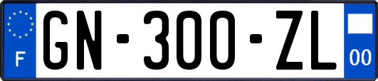 GN-300-ZL