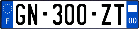 GN-300-ZT
