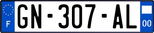 GN-307-AL