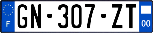 GN-307-ZT