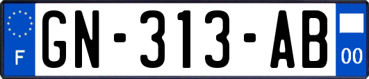 GN-313-AB