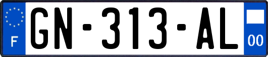 GN-313-AL