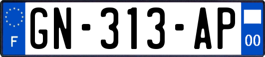 GN-313-AP