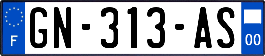 GN-313-AS