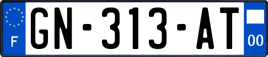 GN-313-AT