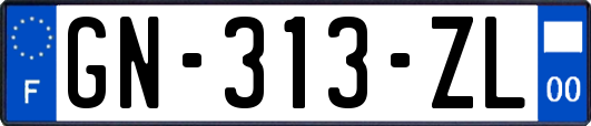 GN-313-ZL