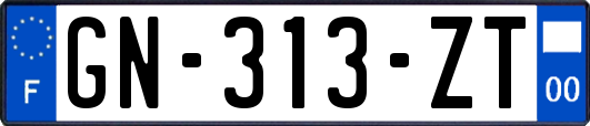 GN-313-ZT
