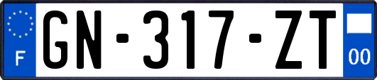 GN-317-ZT