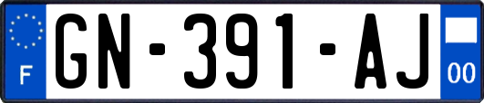 GN-391-AJ