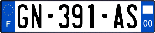 GN-391-AS