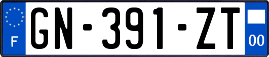 GN-391-ZT